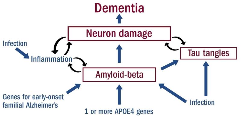 Image for the Tweet beginning: Harvard Health Publishing:

„Das Virus, das